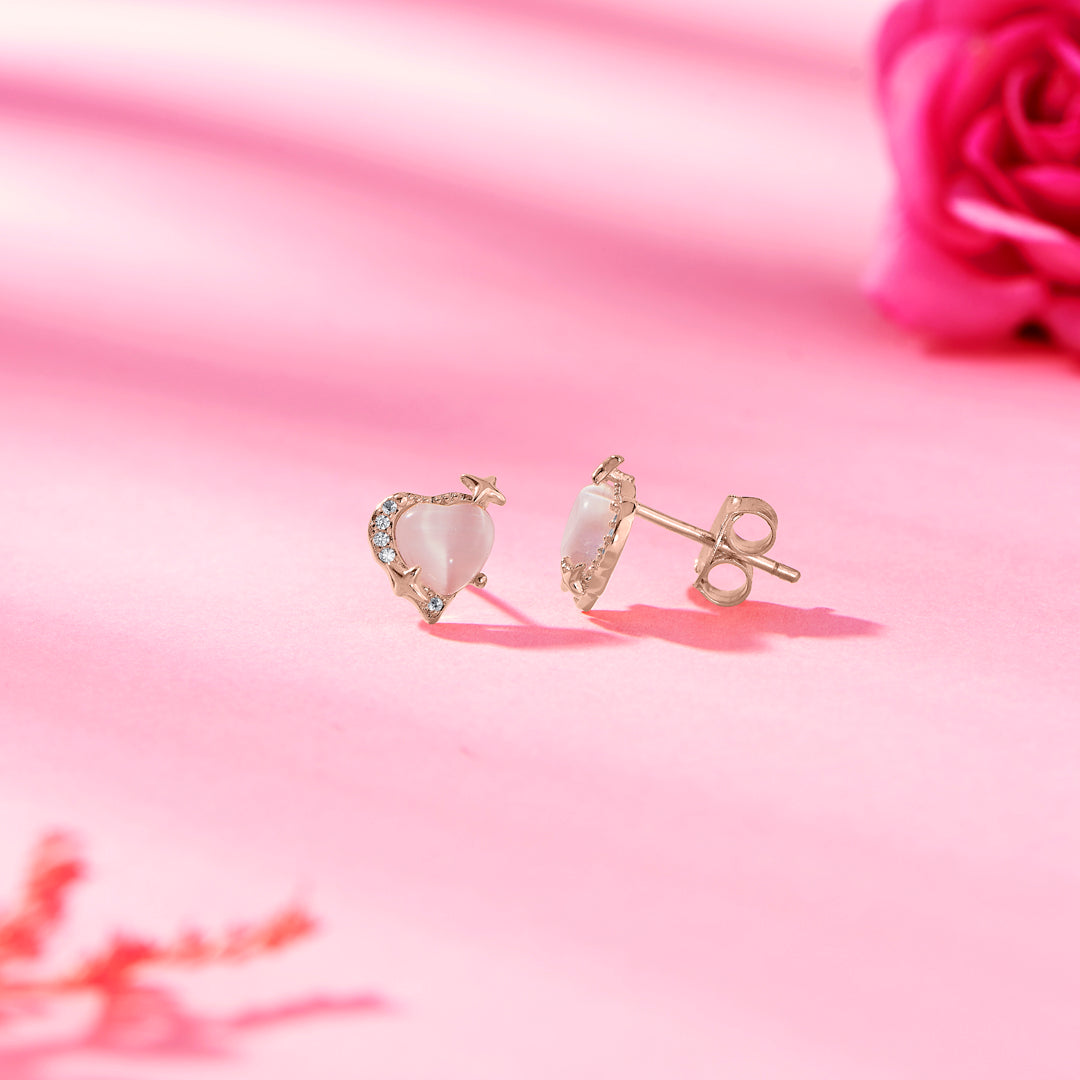 Heart’s Frost 925 Silver Earring For Woman